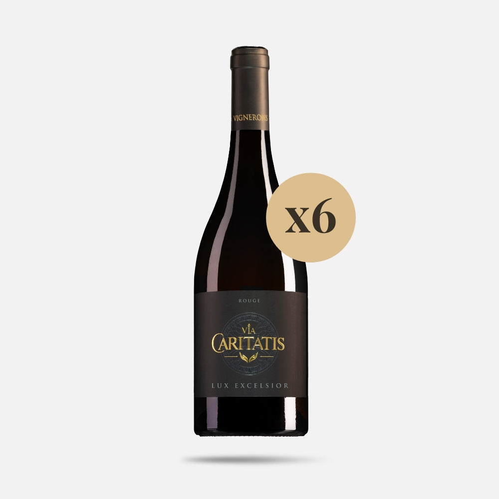 Lux Rouge 2023 (carton de 6 bouteilles)
