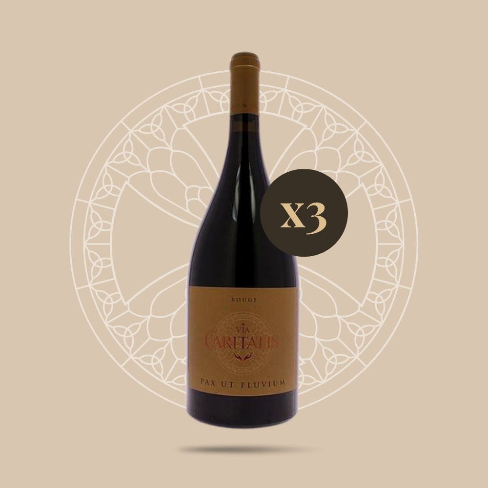 Magnum Pax Rouge 2019 (carton de 3 bouteilles)