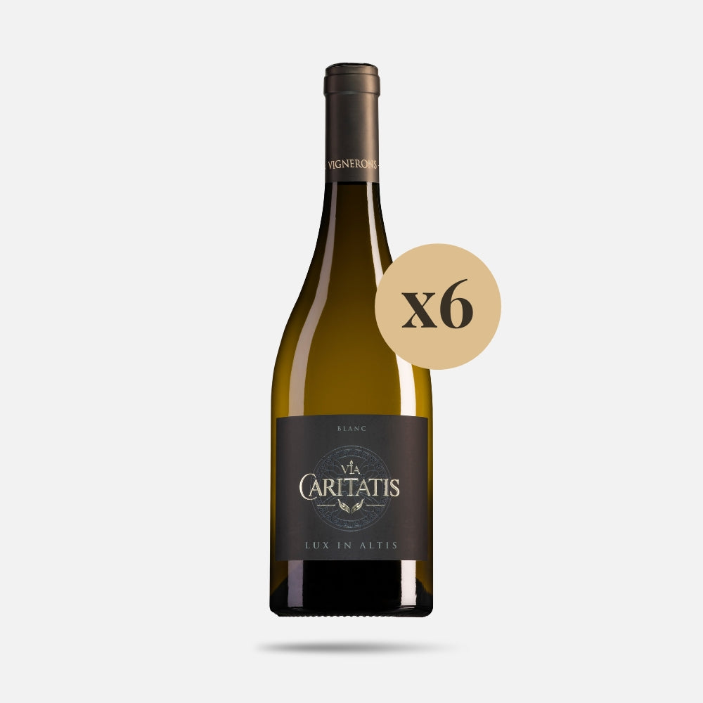 Lux Blanc 2023 (carton de 6 bouteilles)