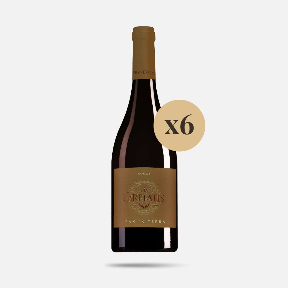 Pax Rouge 2024 (carton de 6 bouteilles)