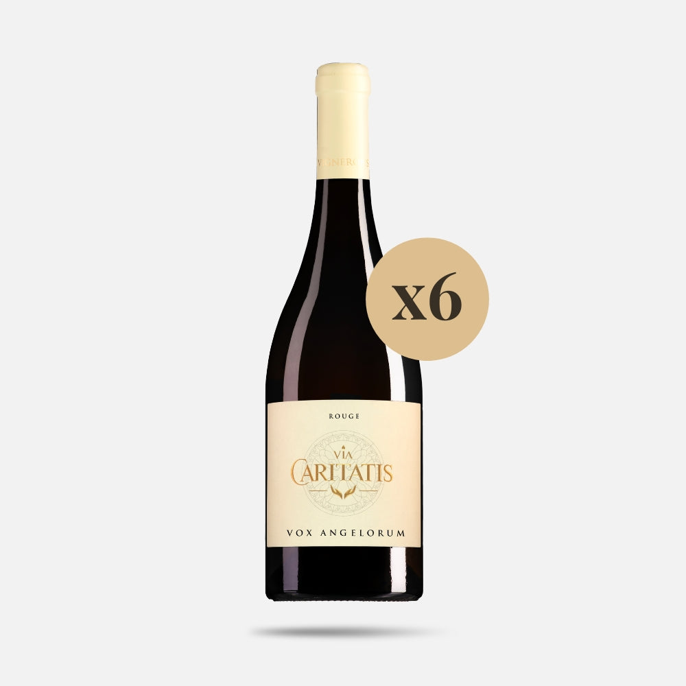 Vox Rouge 2023 (carton de 6 bouteilles)