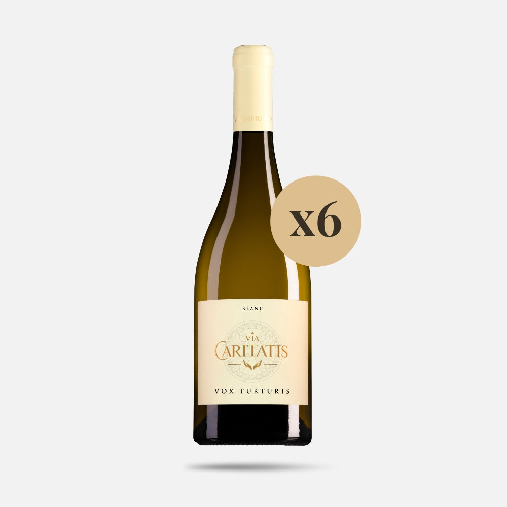 Vox Blanc 2024 (carton de 6 bouteilles)