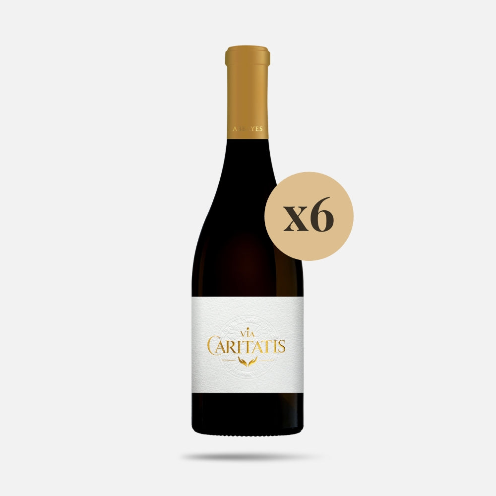 Abbayes Rouge Syrah 2020 (carton de 6 bouteilles)