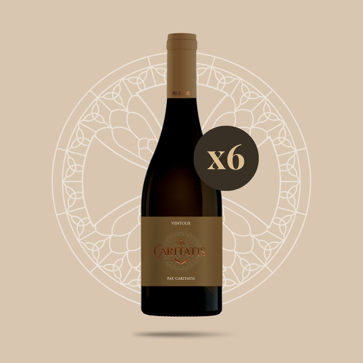 Pax In Terra Rouge 2019 (carton de 6 bouteilles) - Vieux millésimes