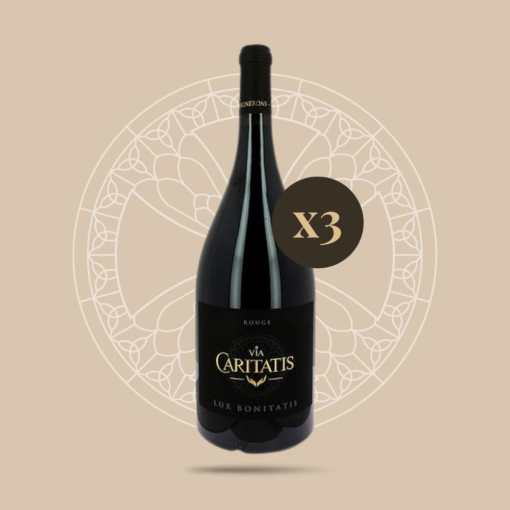 Magnum Lux Rouge 2020 (carton de 3 bouteilles)